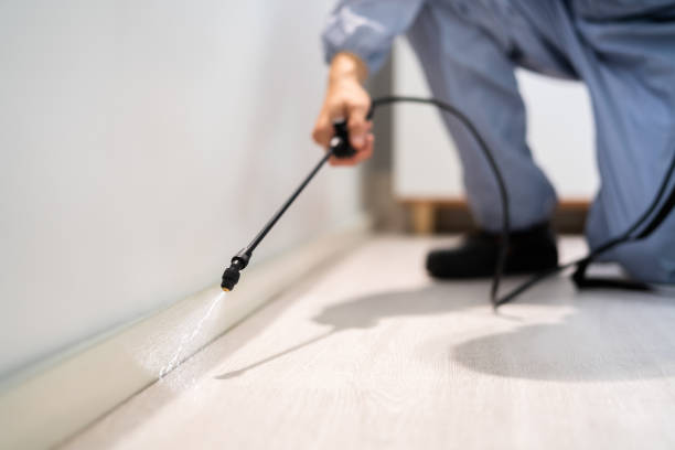 Licensed Cockroach Control service in Stanton, MI - Nex Pest Control