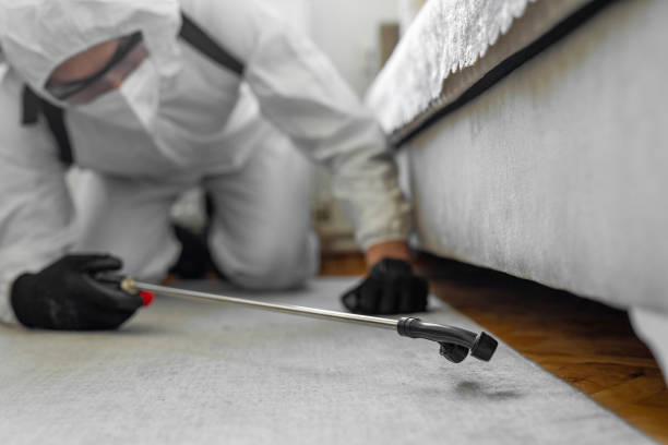 Professional Cockroach Control technician working in Stanton, MI