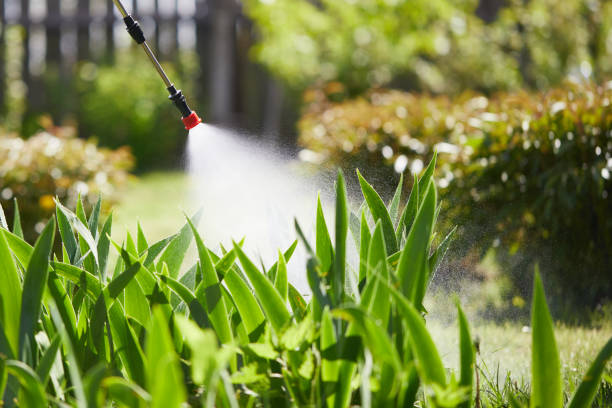 24/7 Emergency Cockroach Control experts in Stanton, MI