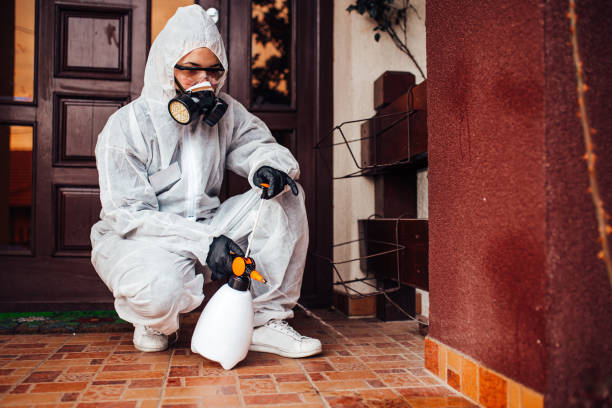 Reliable Cockroach Control contractor in Stanton, MI by Nex Pest Control