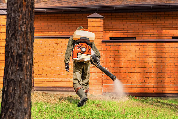 Top rated local Cockroach Control specialists in Stanton, MI